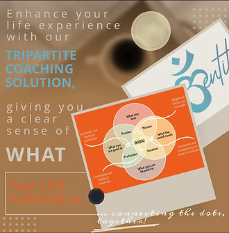 Ikigai, themOHMentity way