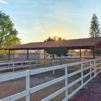 WhatsApp Image 2020-11-07 at 18.04.49.jpeg