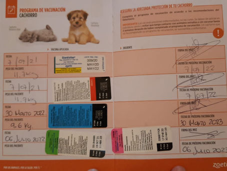 Requisitos de entrada a Hotel Canino