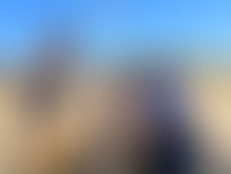 ¿Dónde puedo dejar a mi perro en vacaciones en Guadalajara?