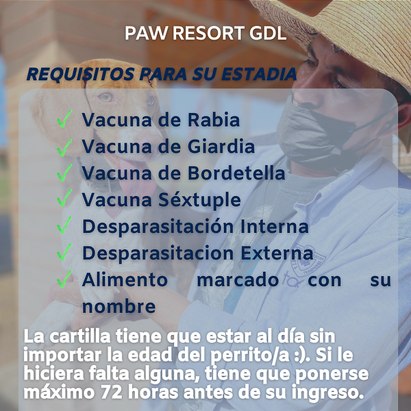 Requisitos de entrada al hotel canino Paw Paw