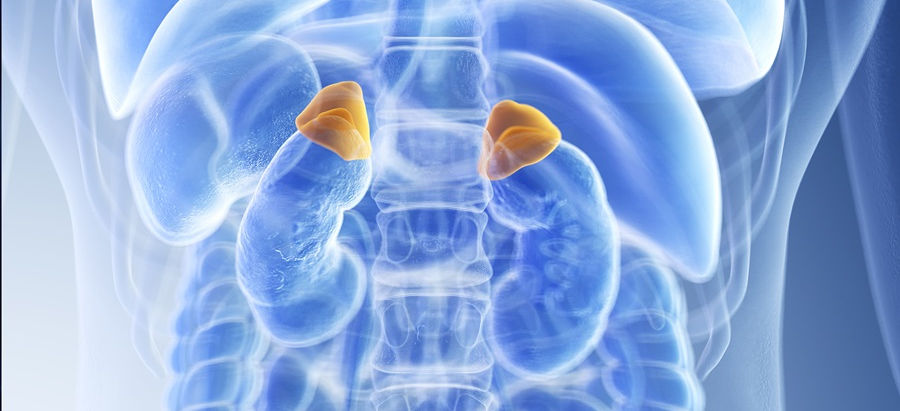 O diagnóstico de fadiga adrenal