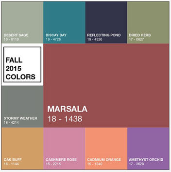 Quelles sont les couleurs tendances de cet hiver 2015 ?