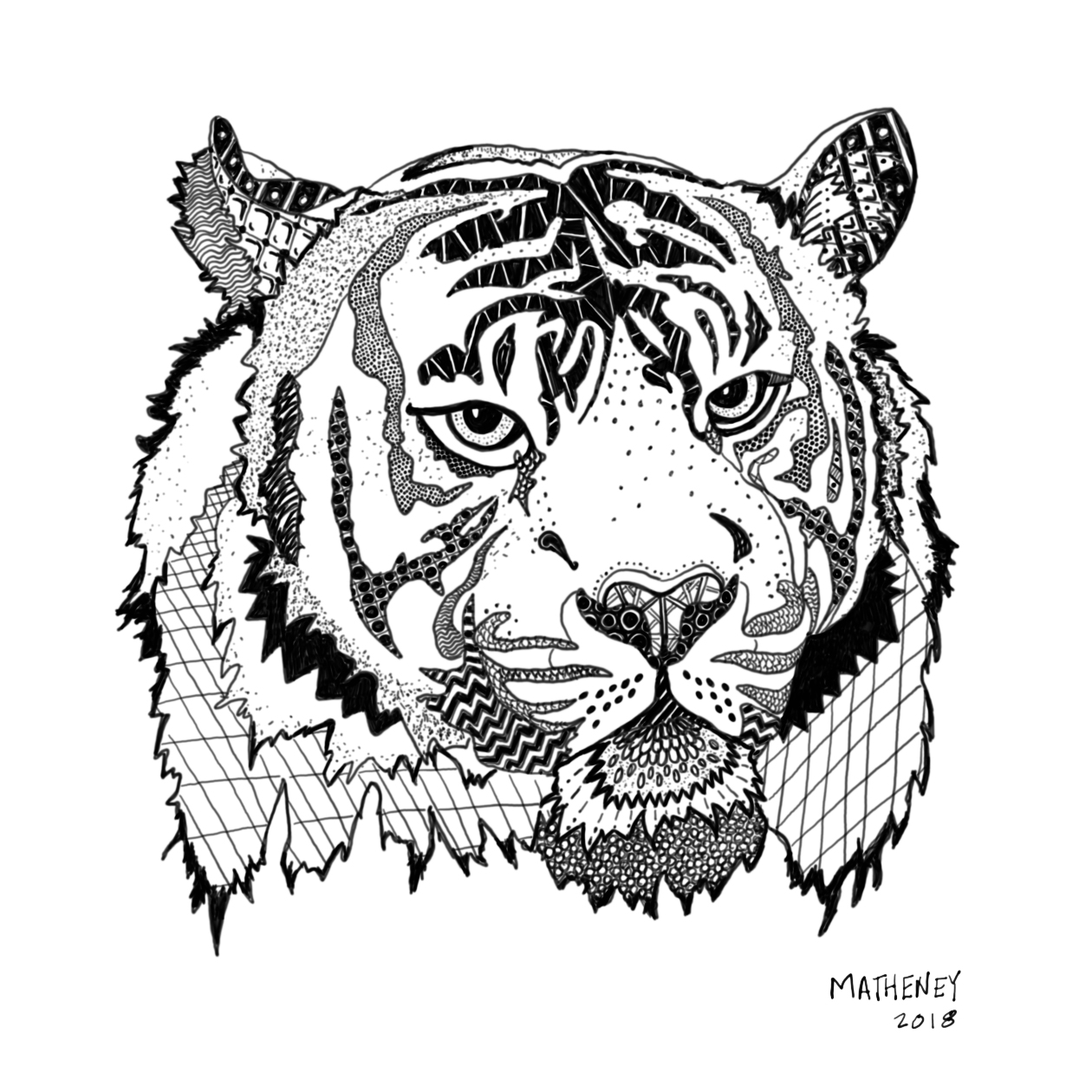 Zen Tiger