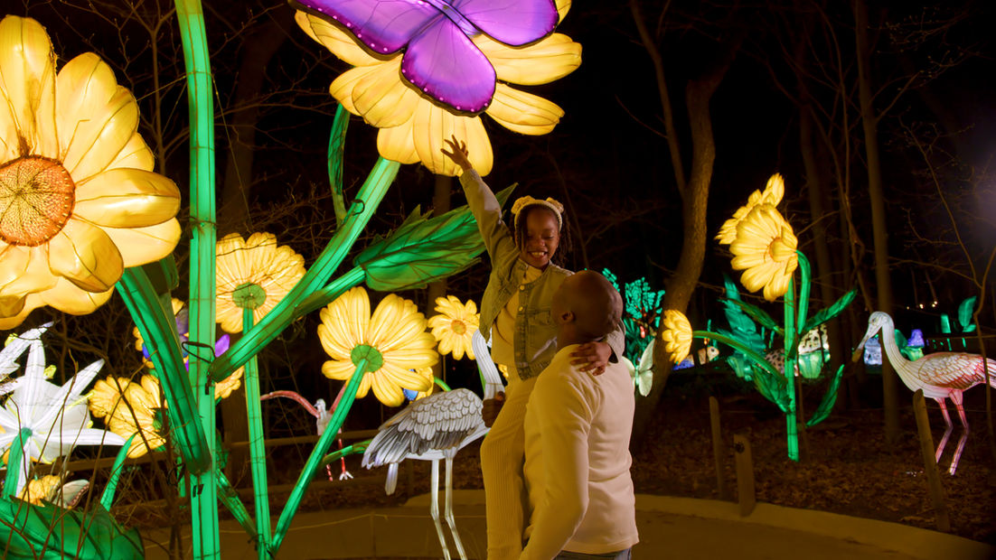 John Ball Zoo Lantern Festival Promo 2025