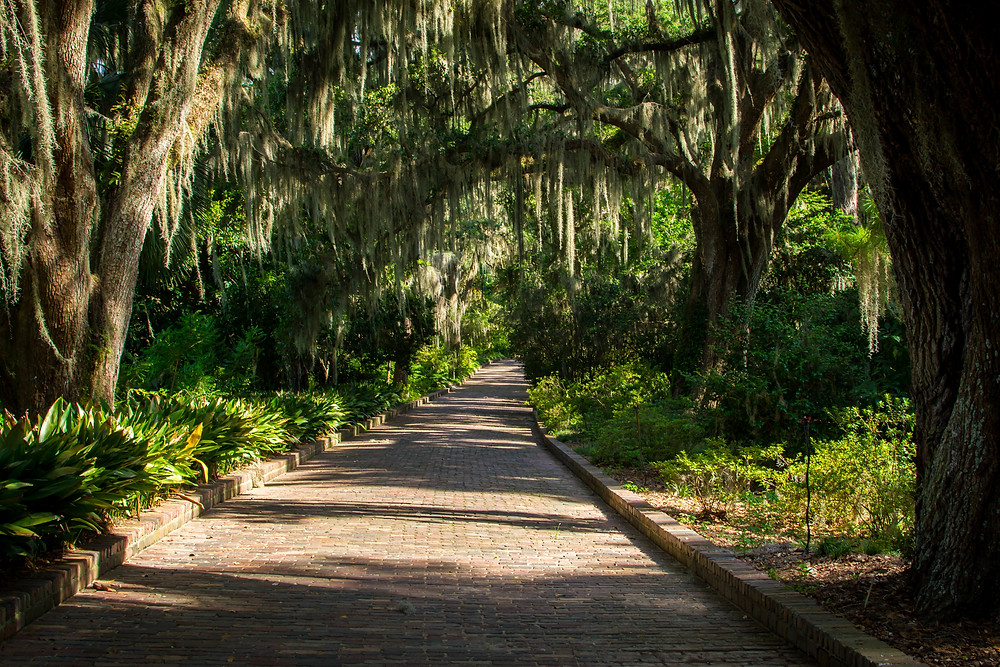 Activities in Tallahassee, FL