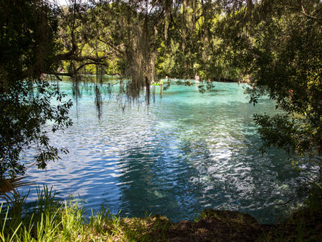 Self-Guided Movie Tour of Marion County
