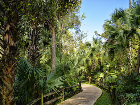 Where to Go Off-Roading in Ocala