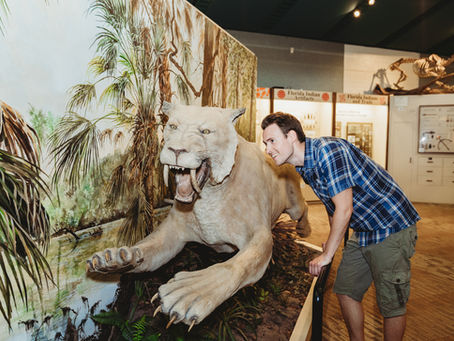 Attractions in Ocala: The Silver River Museum