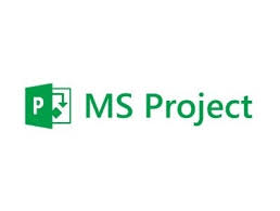 MS project.jpeg