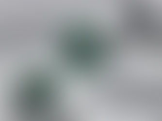 50MM FRAMELESS MOTOR