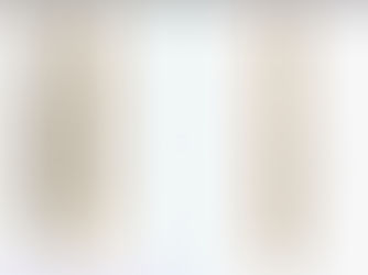 HIGH SPEED “BARRELESS” SPRING CONTACTS