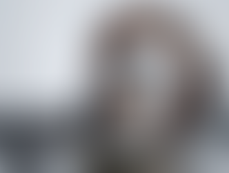 39MM FRAMELESS MOTOR