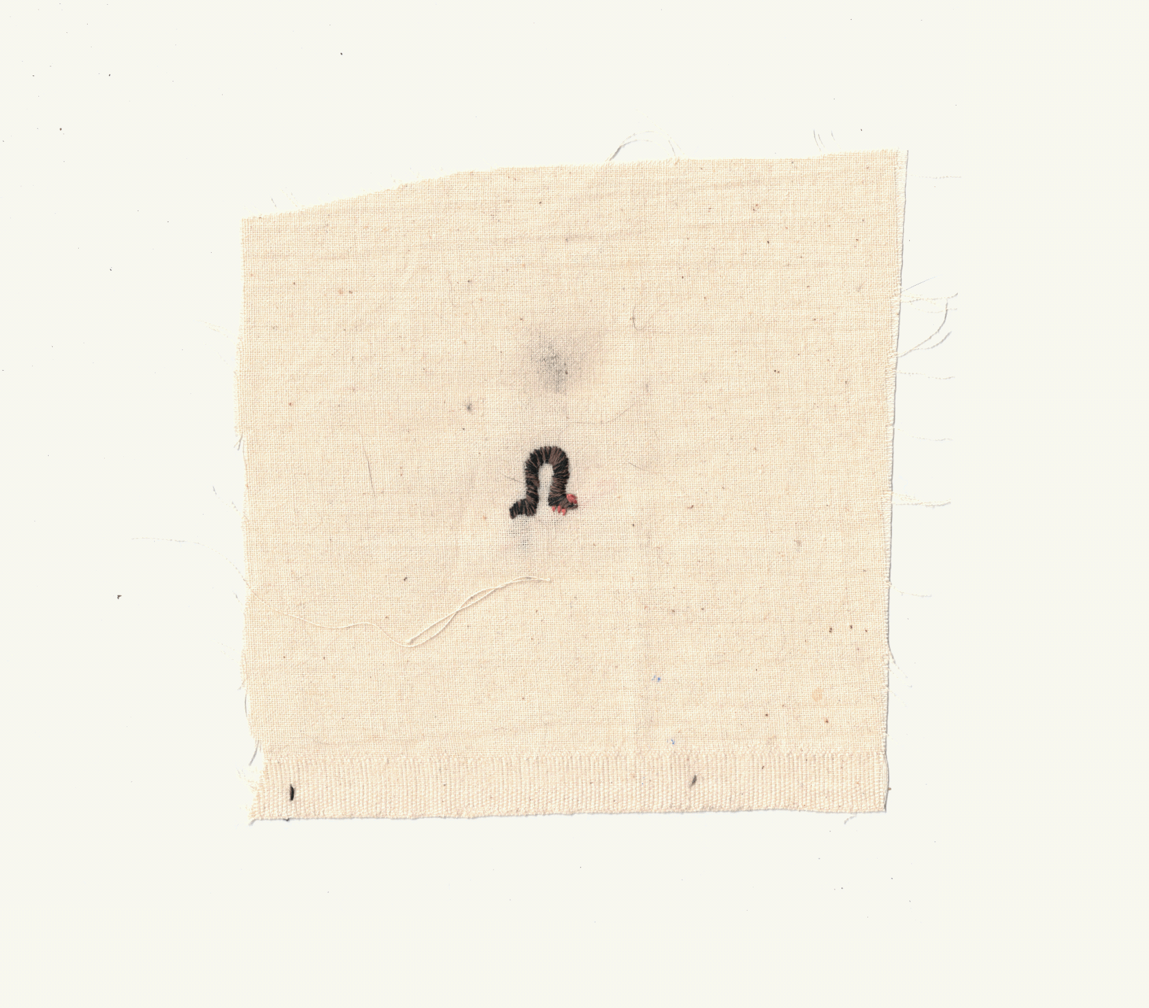 Untitled_Artwork.gif