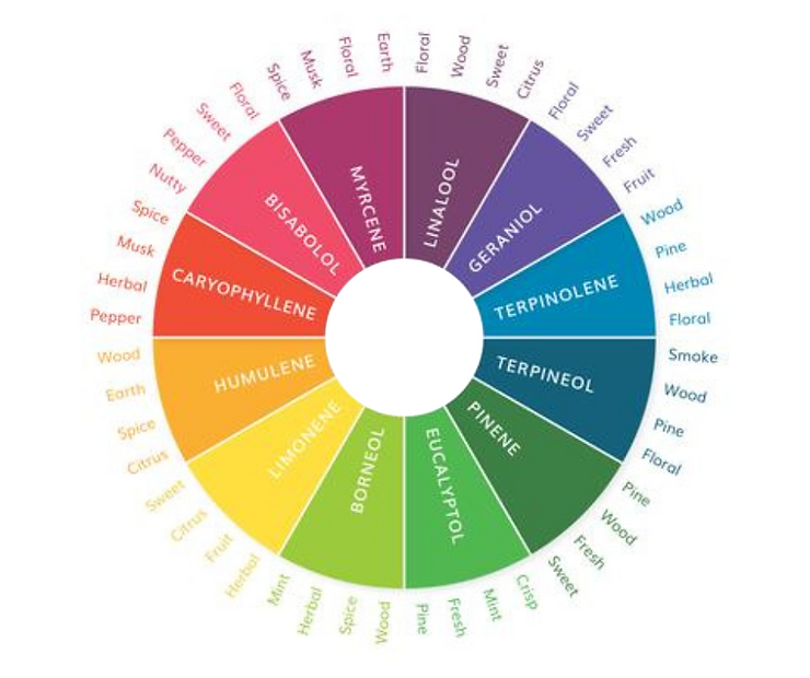 Common terpenes & their aromas