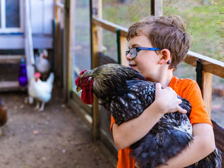 Hatching a Savings Idea 