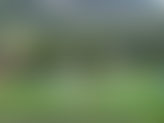 Quarta amichevole stagionale per gli Allievi del Baone