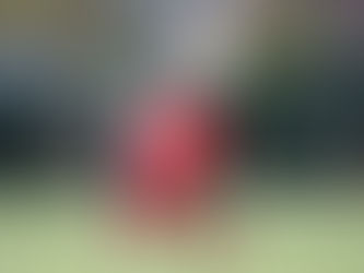 🏟️ GIORNATA DELLO SPORT - Benvenuti nella nostra Società Sportiva