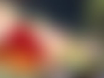 È finita, 1 a 0 Baone che trova la prima vittoria stagionale in campionato