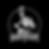 Shadowscape Pictures Logo