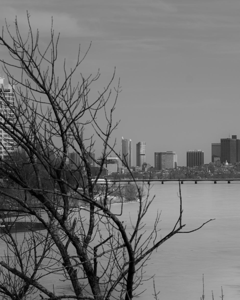 backbay