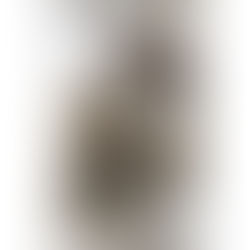 RAVIOLI DI VERDURE CINESI