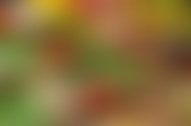 Sol e calor, o que apetece? Legumes sempres frescos e biológicos!!