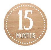 AAP Bright Futures Resources for 15-Month Olds