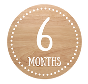 AAP Bright Futures Resources for 6-Month Olds
