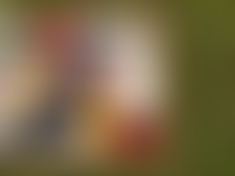 A Summer Send-Off Mood Board