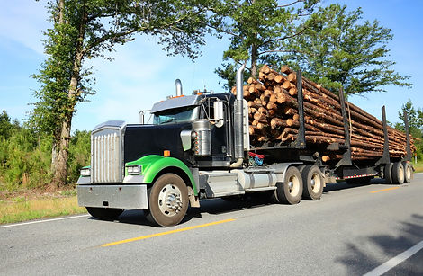 SCS Forestry Tree and Land Services. Website powered by MediaSavior L.L.C. Visit www.MediaSavior.com for more information.