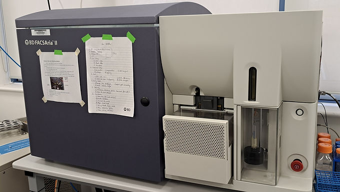 BD FRACS Aria II Flow Cytometer