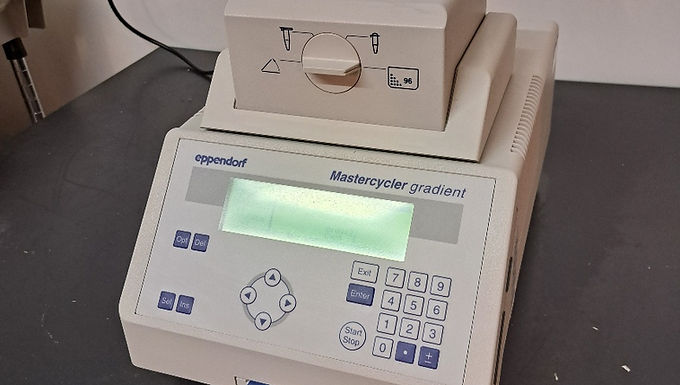 Eppendorf Matercycler® Gradient 96 well microplate, 96 x 0.2ml tubes and 77 x 0.