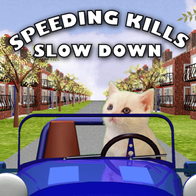 slow down.gif