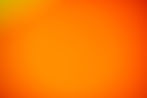 LURE Drinks colors (2).jpg