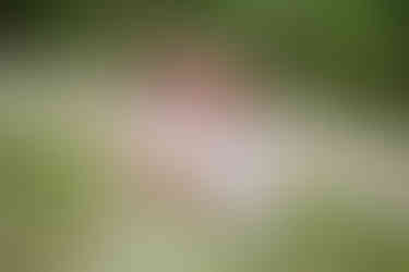 queer poly wedding throuple holding each other between spring flowers