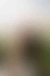 Couple in black and white wedding attire outside of glass building with green plants