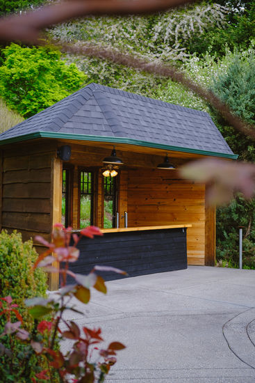 covered bar in forest