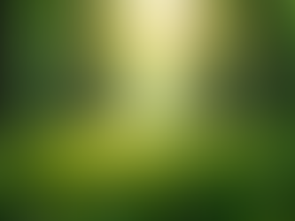 The Importance of Sustainable Living in Today's World