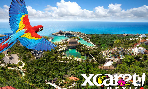 Things to do during your dental vacation