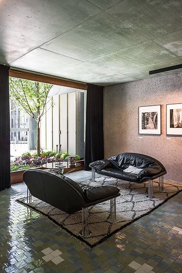 Casada Arvore_PedroCardigo-45.jpg