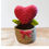 Thumbnail: Potted Heart