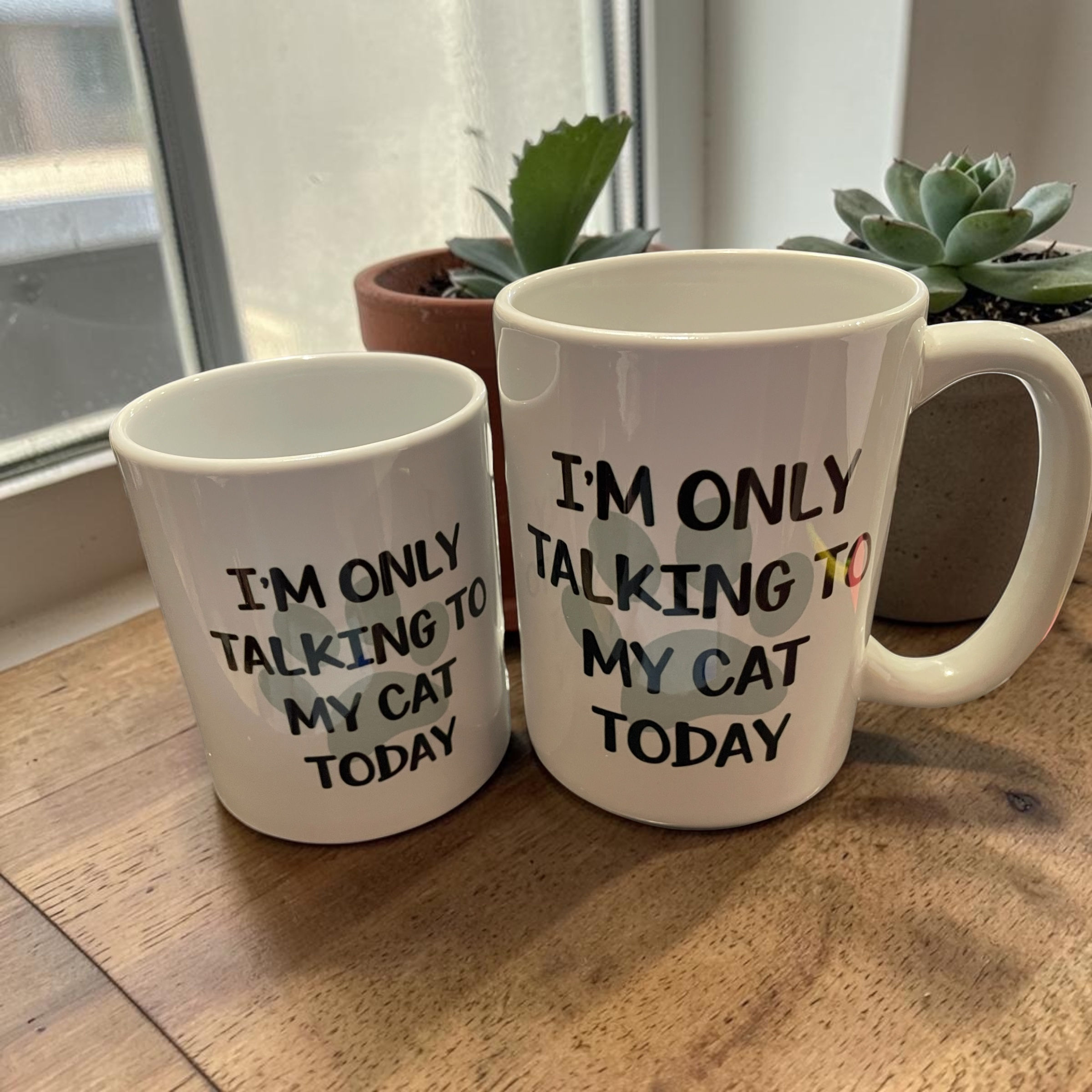 Mug Only Talking to my Cat Today