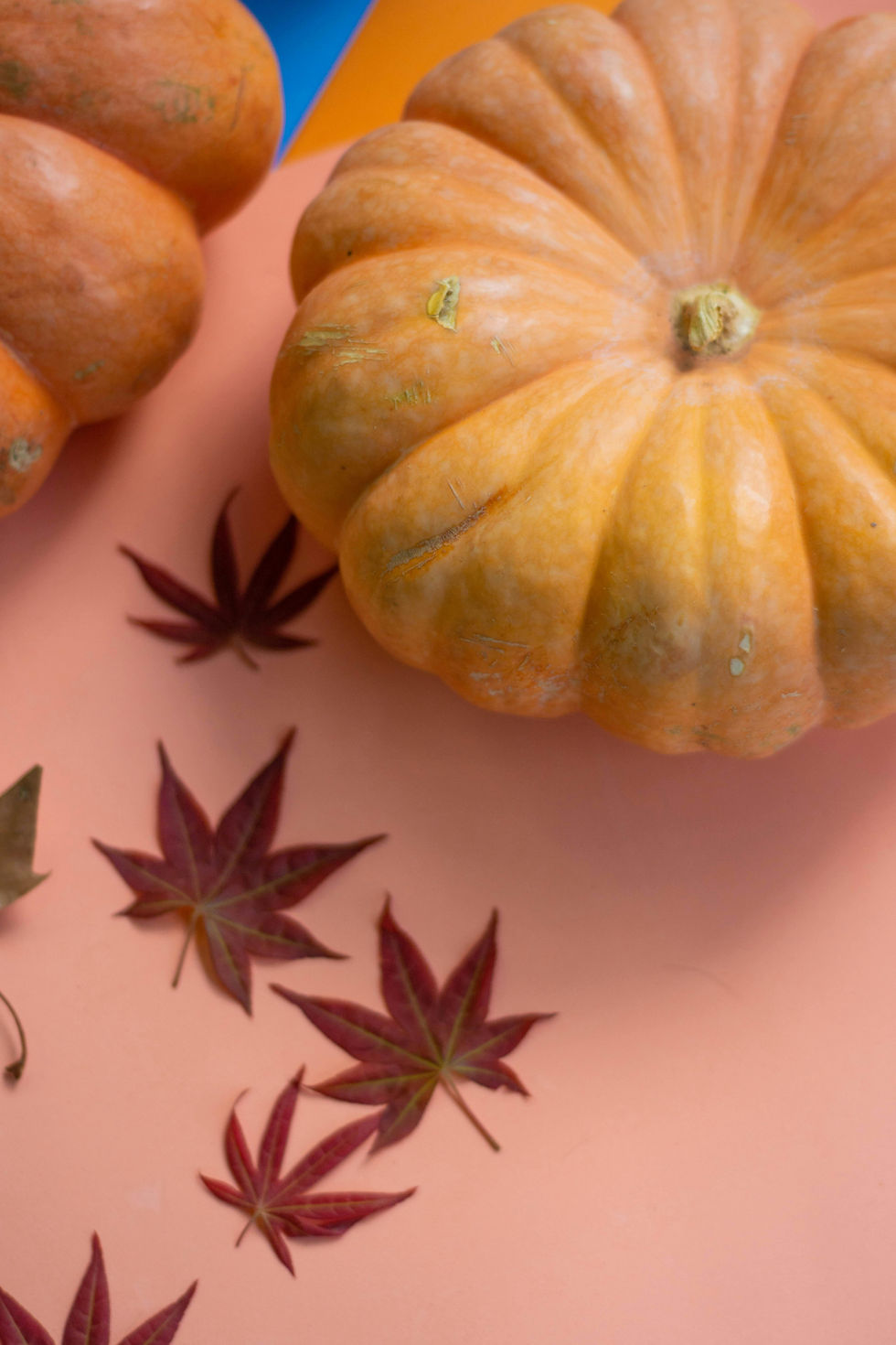 Photo by Lucas George Wendt via Pexels