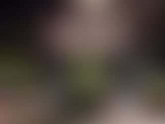 술속의밤 당진점