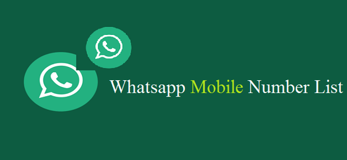 的成败往往在概念 whatsapp号码列表 content media