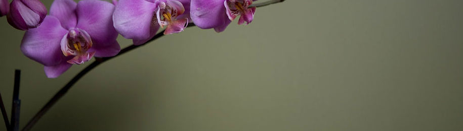 Massage Prices at Integrative Humancare