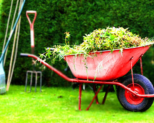 Garden Tidy Ups