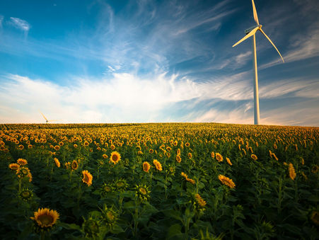 Sustainability: Building a Future Where People, Planet, and Profit Thrive