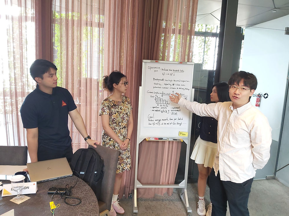 Sika A3 Problem Definition.jpg